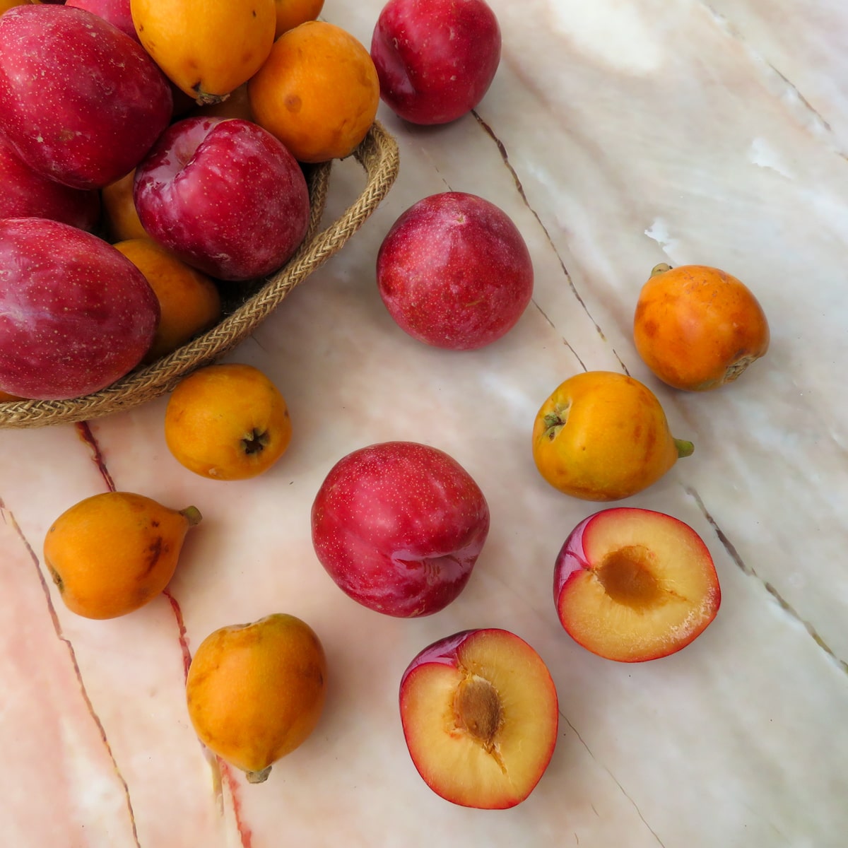 June Produce Guide What is in season? RootsandCook