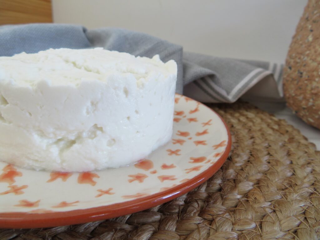 queso fresco de cabra casero