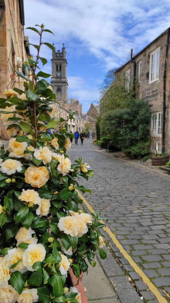 circus lane-donde comer en edimburgo