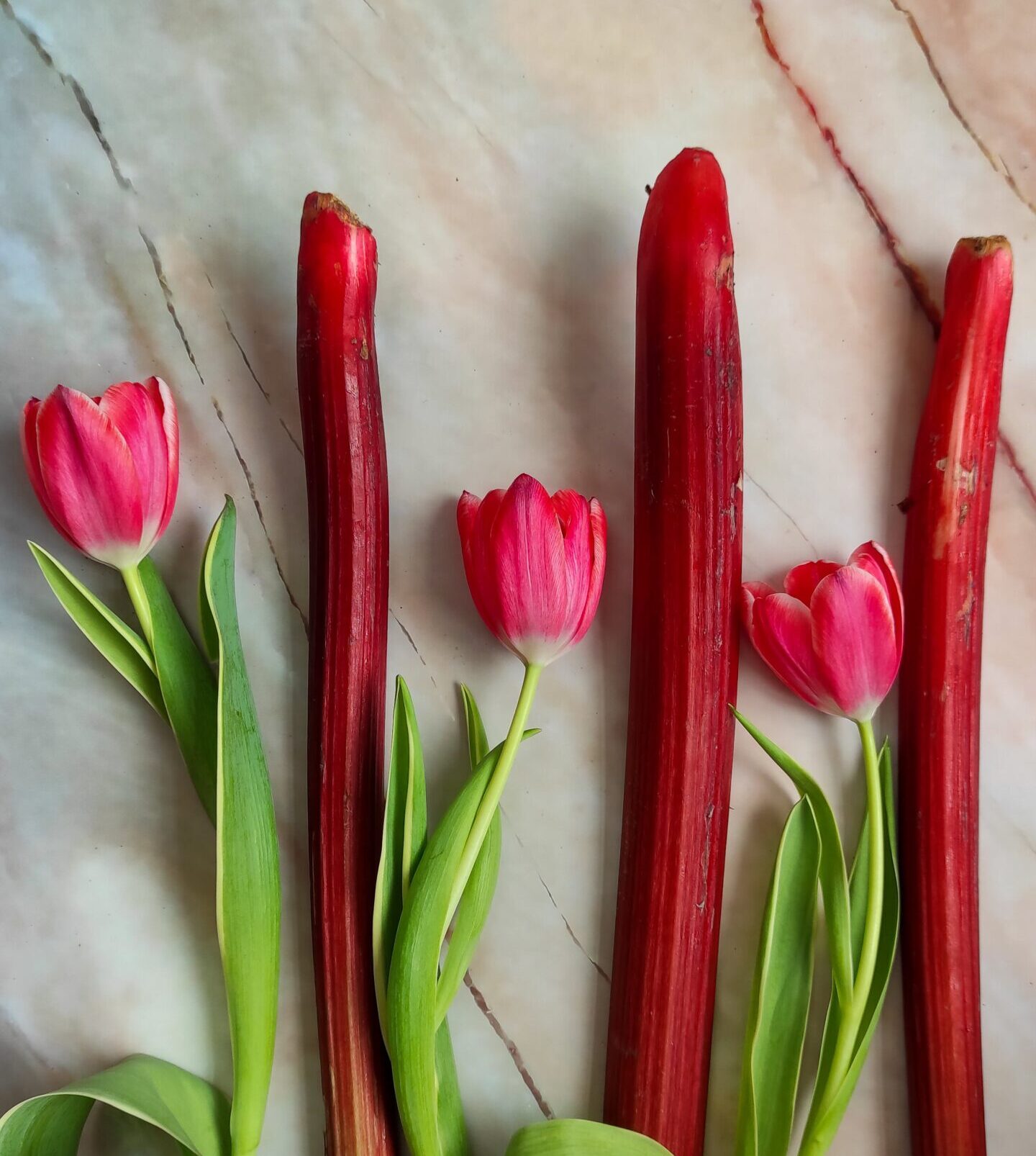 What is rhubarb? Where can I buy it? - RootsandCook