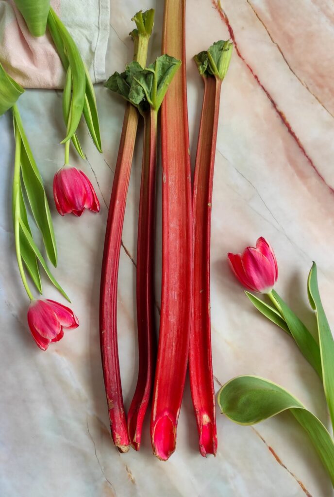 what is rhubarb-rootsandcook