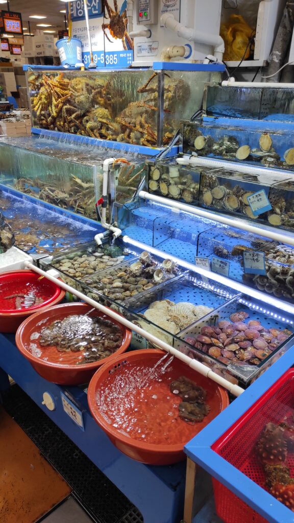 How to buy fish at Noryangjin market in Seoul-rootsandcook