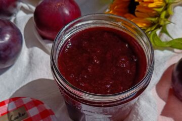 MERMELADA DE CIRUELAS EN OLLA LENTA-rootsandcook