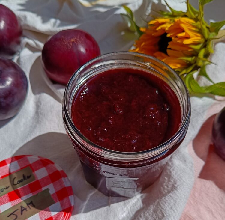 MERMELADA DE CIRUELAS EN OLLA LENTA-rootsandcook